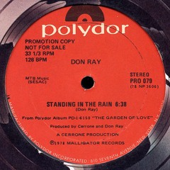 Don Ray - Standing in the rain (The Noodleman edit) 320
