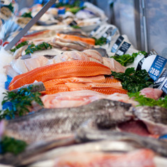 Tassie Fresh Fish Market Update 23rd May