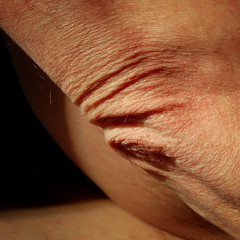 ElbowSkin - LIVE at Comedia Dell Parte, St Kilda