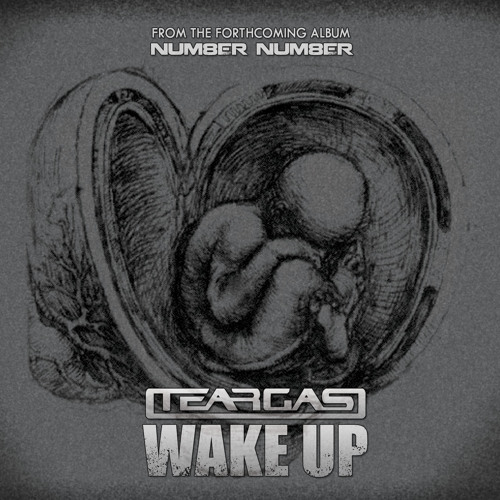 Teargas - Wake Up (radio edit)