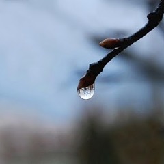 Letting go