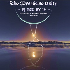 THE PROMICINE UNITY mix by Dj 13