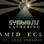 Artwork for DD Live at Symbiosis 2012