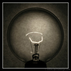 dim. [Live From Studio A]