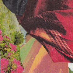 Rare Fruit - In A World of My Own