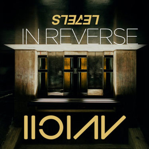 Slevel (DJ Crii Club mix)