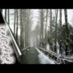 Siavash Ghomeyshi-Gerehe gom