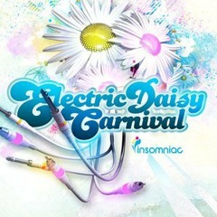Sebastian Ingrosso - Electric Daisy Carnival NY (19.05.12)