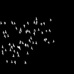 02 - And the sky became a burden