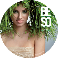 BESO Summer 2012 mixed by Mascota vol.1
