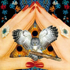 Strange Hands - Love Illusion