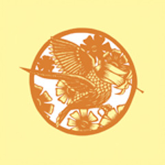 Okkervil River - "Your Past Life as a Blast"