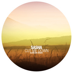 Sasha - Cut Me Down (Nomean Remix) :: Free Download :: Dj Friendy, Remastered Version