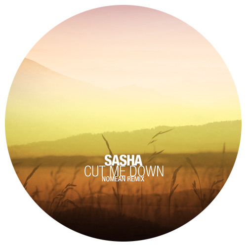 Sasha - Cut Me Down (Nomean Remix) :: Free Download :: Dj Friendy, Remastered Version