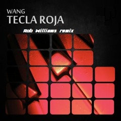 Wang - Tecla Roja (Rob Williams Remix) [White]