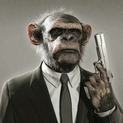 [The StupidMonkey] - SIMPLE and BREAKBEAT MINIMIX