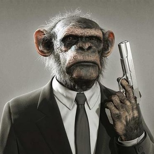 [The StupidMonkey] - SIMPLE and BREAKBEAT MINIMIX