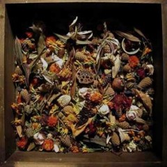 مي روي و مي داني ... at Parvaz Park