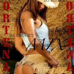 Mix nortenas 2012 dj mickey