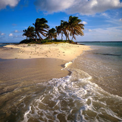 Tropical Desert Beat Mix