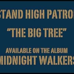 Stand High Patrol - The Big Tree (Slivanoë Remix)
