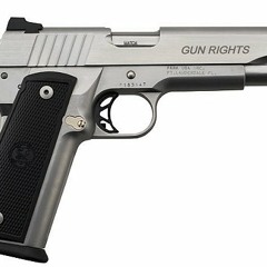I tote gunz(Leaked)