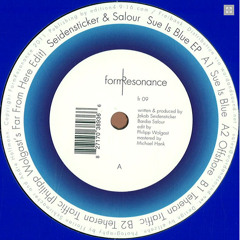Seidensticker & Salour - Sue is blue (FormResonance)