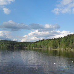 (What A Day For A) Daydream