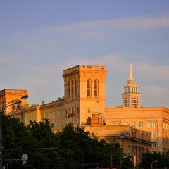 Honk - waiting for spring