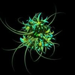 Turtle - Virus