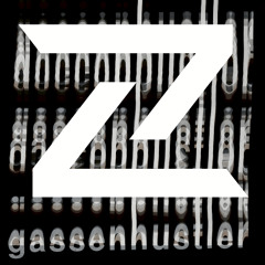 Dizzkidz gassenhustler