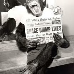 Astrochimp1 nowEeardis