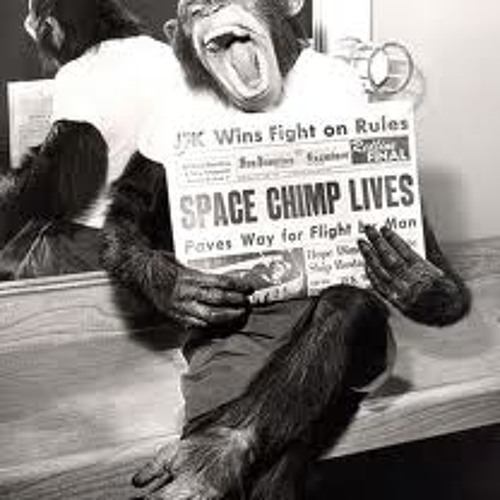 Astrochimp1 nowEeardis