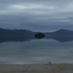 Field Recording Set #19 - Ulva Island