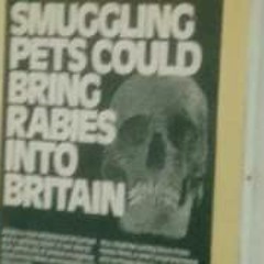 Rabies Warning