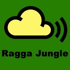 indi©a-jungle mix12.1