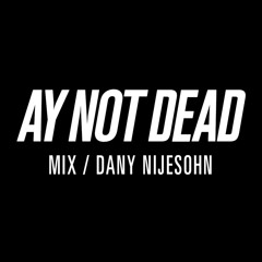 Mix Dany Nijensohn