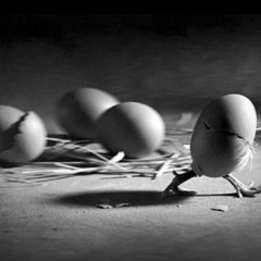Chris Silvertune - 6 Little Eggs [Radio Edit][Download Link]