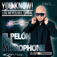 El Pelon Del Mikrophone Mix (DJ Morphius)