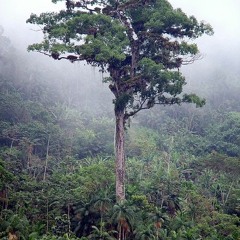 Only time Dubby FIDELIUS MIX