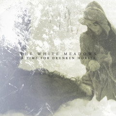 The White Meadows - A Time For Drunken Horses -  Alma