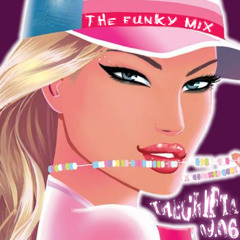 The Funky Mix 09.06 (tdjs006)