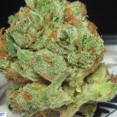 Nightvision