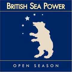 British Sea Power - Victorian Ice