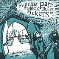 charlie parr & the black twig pickers - there ain't no grave gonna hold my body down