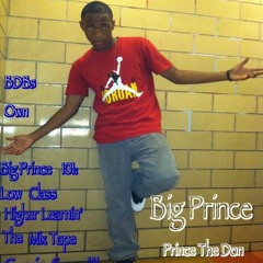Big Prince- Prince The Don (Sneak Peek to Big Prince 101: Low Class Higher Learnin')