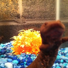 While You Were Sleeping