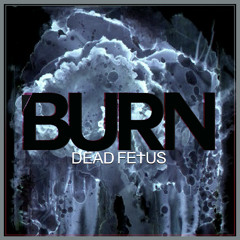 Dead Fe†us - Medicinal (Nobi_4 Remix) [BURN EP FREE DL AT STYLSS.COM]