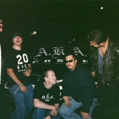 DONWTOWN LOVIN-AKA POSSE