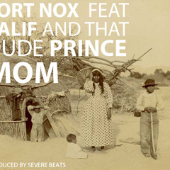 Fort Nox Feat Salif and That dude Prince